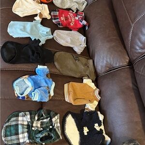 Assorted Pet Clothing Collection